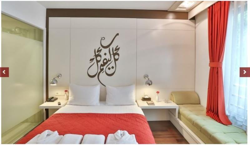 Senatus Hotel - Special Class Provincia di Provincia di Istanbul Esterno foto